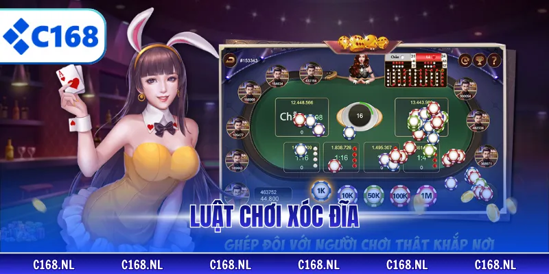 Luật Chơi Xóc Đĩa Chi Tiết Dễ Hiểu Cho Thành Viên Mới